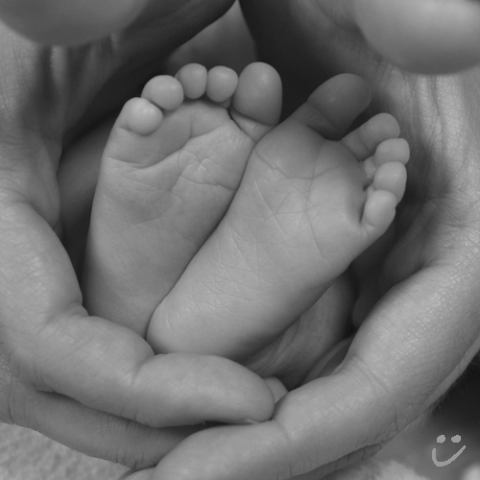babybauchfotos-lindlar (4)